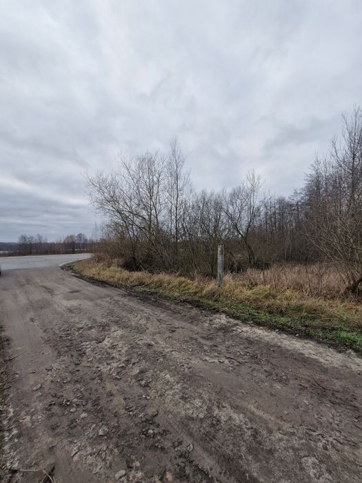 Продається земельна ділянка в  Перлявці.