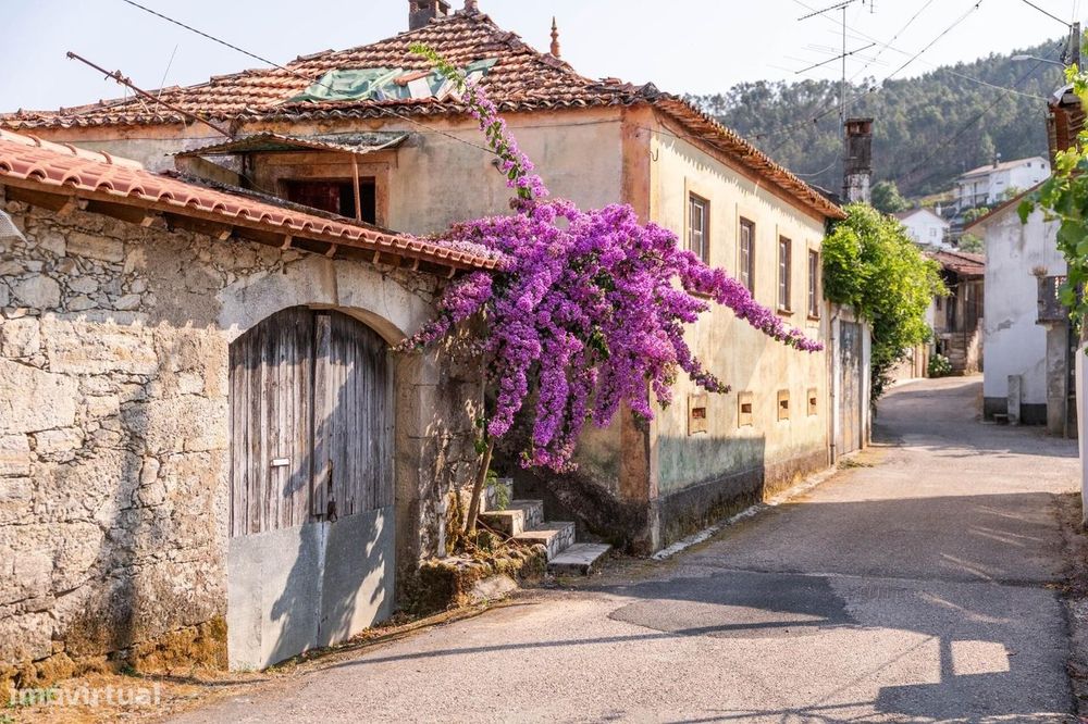 Traditional Quinta T3 with 1653 m² Plot, Outbuildings, Well, and Corn Drying Rack in