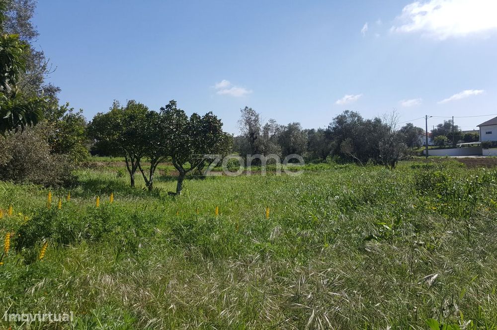 Terreno urbanizável em Milagres