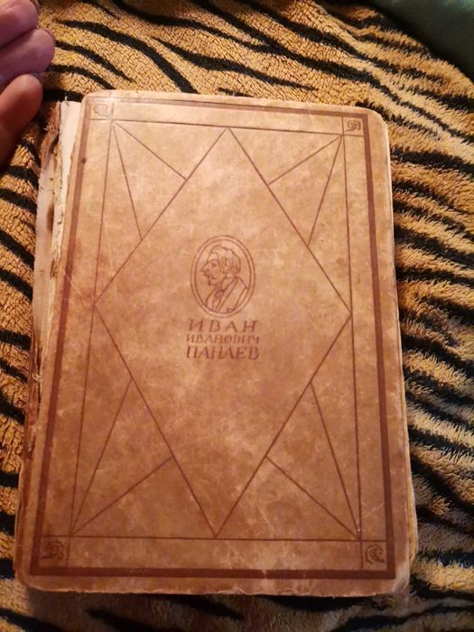 Значки СССР  и книга 1928 год Иван Панаев.