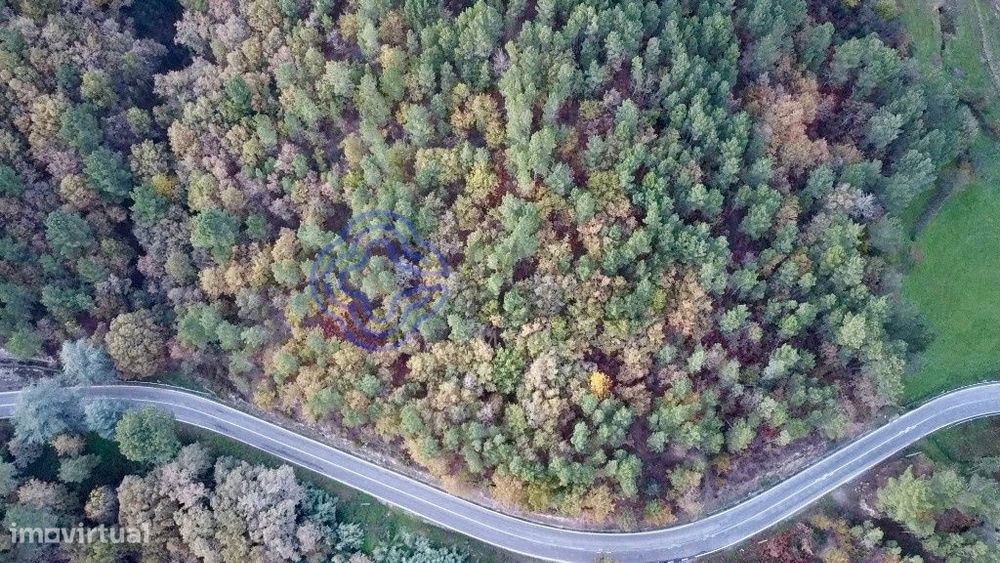 Terreno Florestal - Queimada - Baião — Campelo E Ovil, Porto