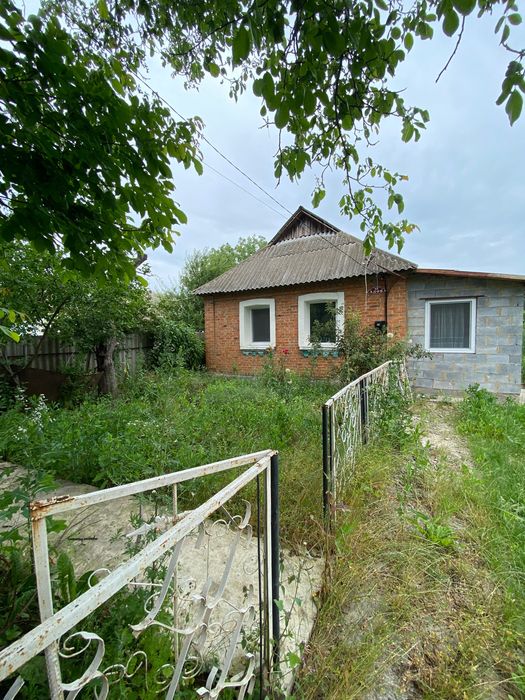 Продаж будинку в селі Коханівка
