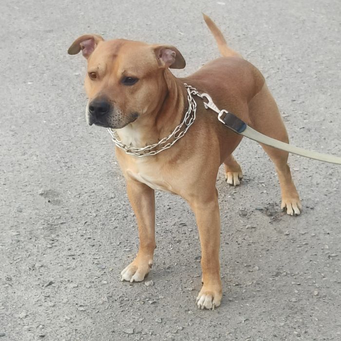 Хлопчик шукає дівчинку