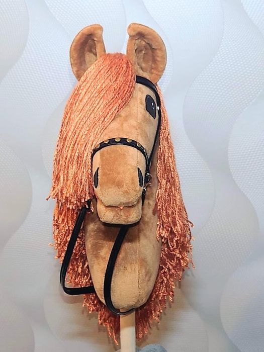 Hobby horse konik