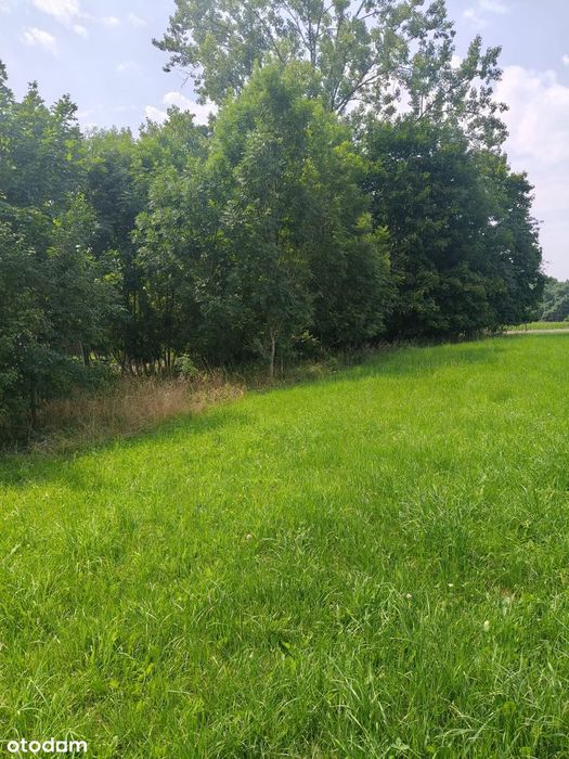 Działka budowlana w mieście, a czujesz się jak na wsi