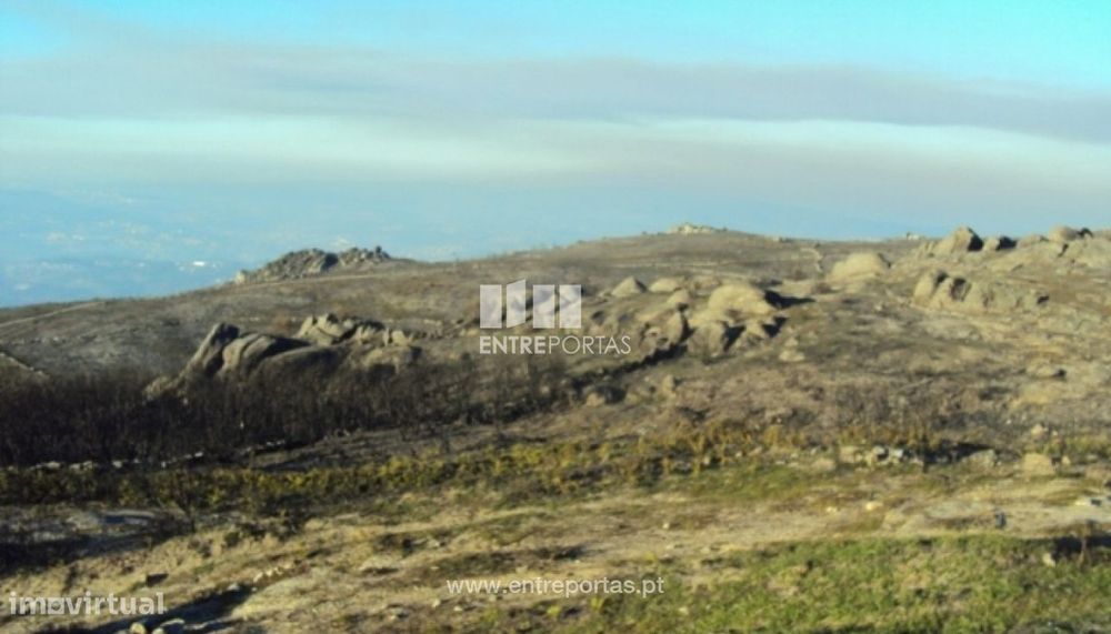 Venda Terreno, Folhada, Marco de Canaveses — Marco, Porto