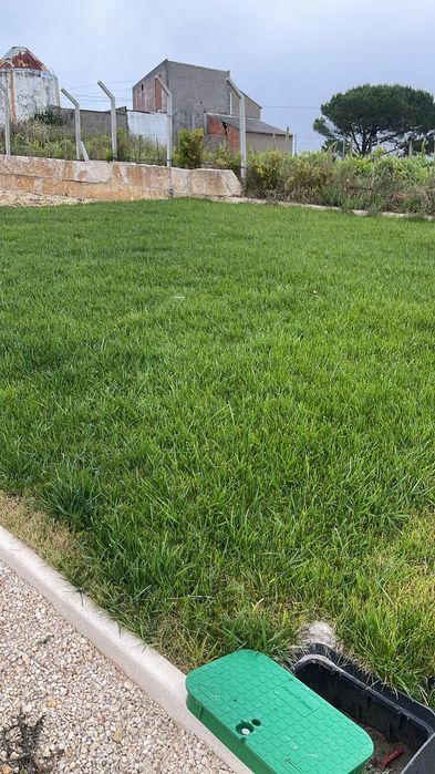 Aplicação Relva Artificial e Natural