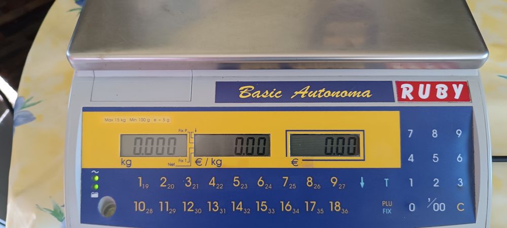 Balança  Básica Autónoma Ruby