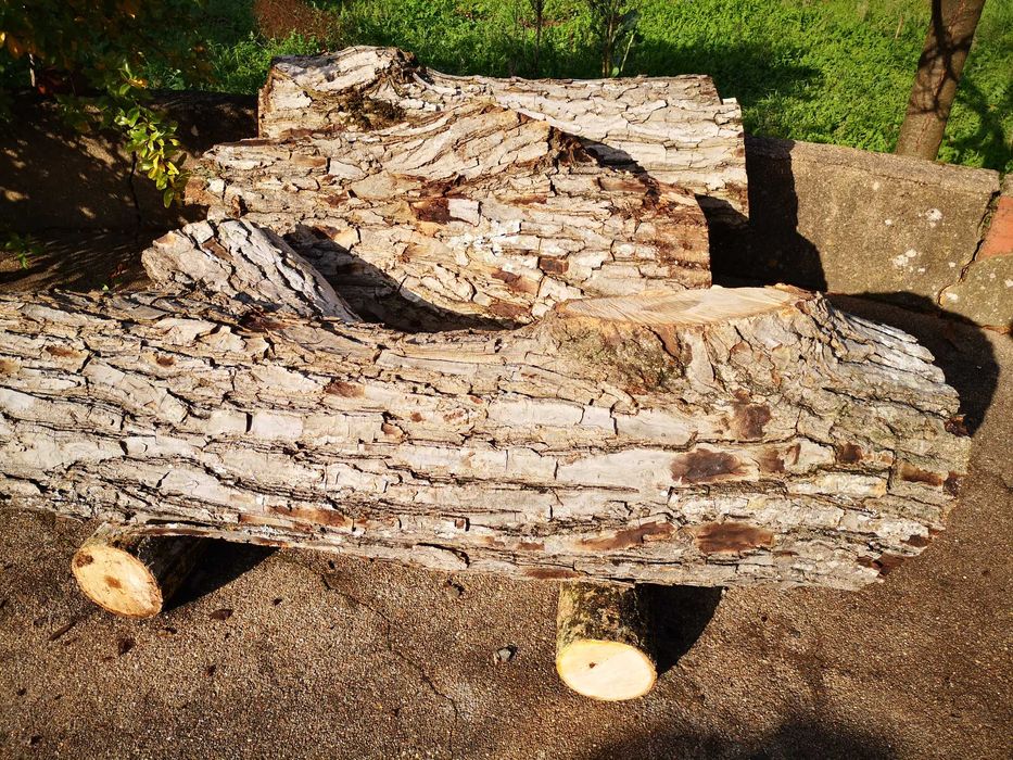 Madeira de NOGUEIRA para esculturas