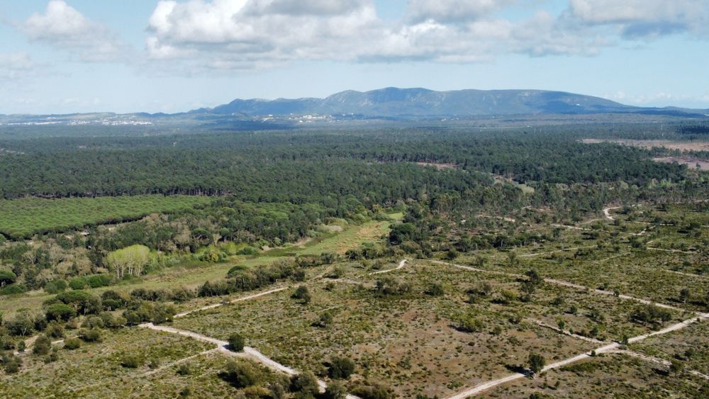 Filmagens e fotos aéreas por drone.