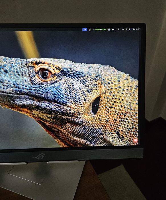 Monitor Portátil ASUS ROG XG17AHPE 17.3'' - Gaming em Qualquer Lugar!