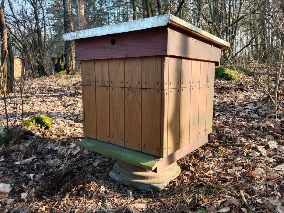 Ule dadant drewniane