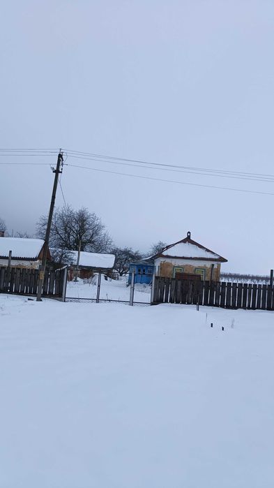 Земельна ділянка 4 га з 5-річним яблуневим садом і 2-ма будинками