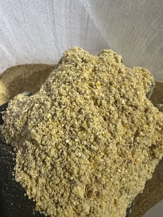 Pszenica śruta zbozowa pasza gotowa kukurydza jeczmien  sruta pasza