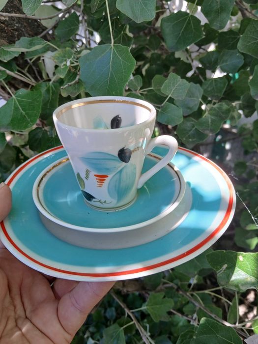 Тріо кавовий сервіз старе  Полонне Березові бруньки