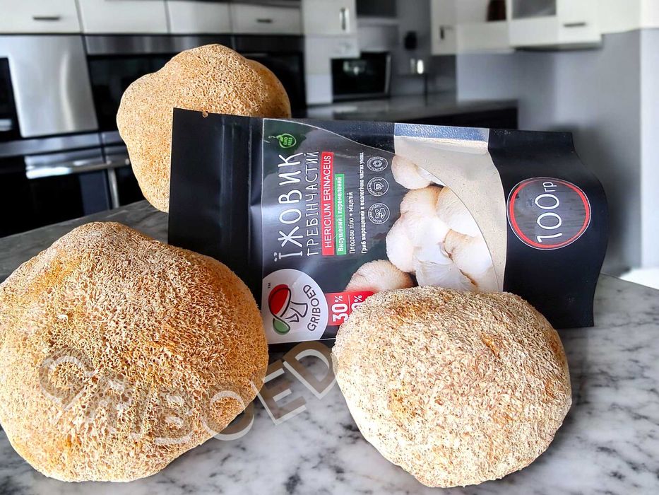 Ежевик гребенчатый в порошке. УЛУЧШЕННЫЙ ЭФФЕКТ - 100 грамм!