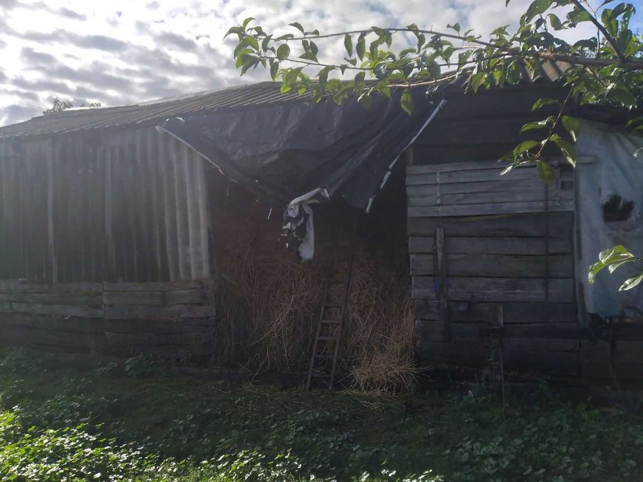 Сіно домашнє "Люцерна"