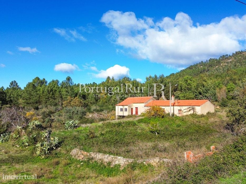 Quintinha de 20 hectares