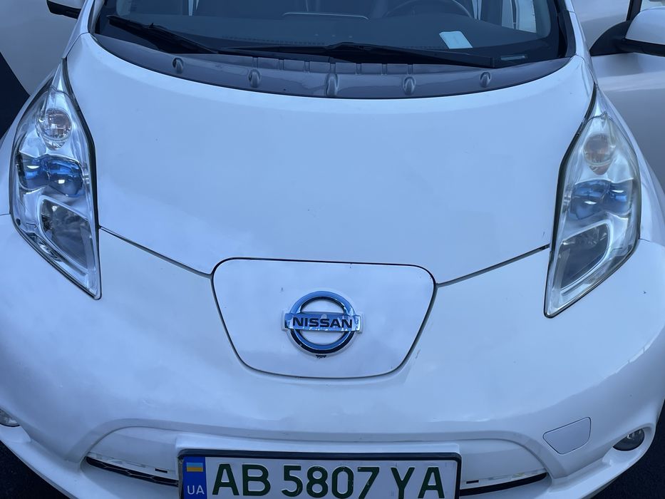 Nisann leaf 2014