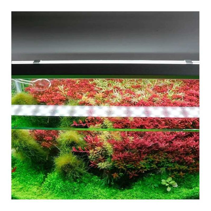 Luzes LED Chihiros para aquário Series B 20cm a 120cm NOVO