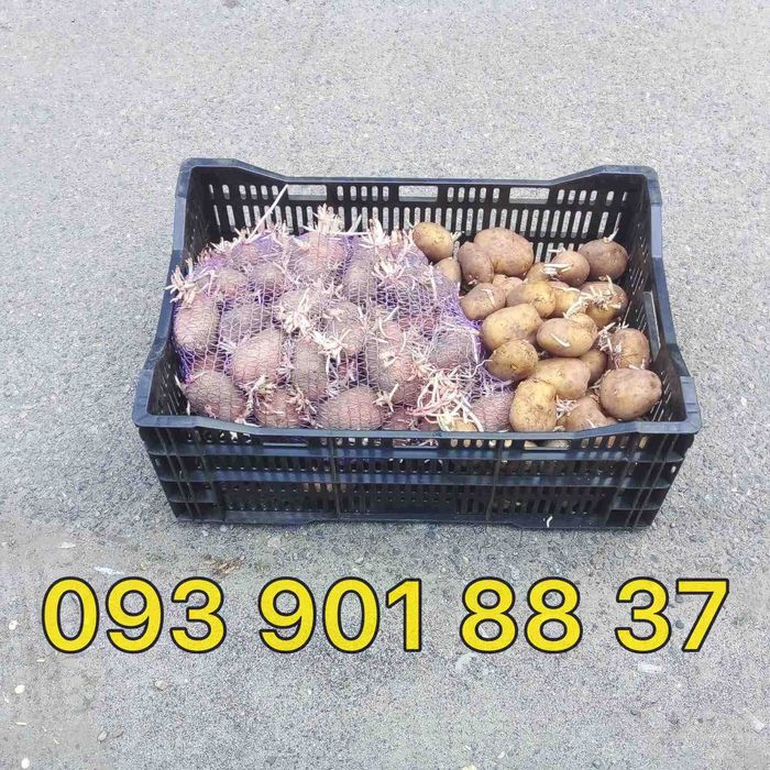ящик пластиковый голландский 600*400 садовый инвентарь на 25кг