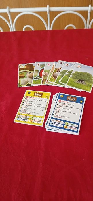 Cartas Amigos da Quinta, novas