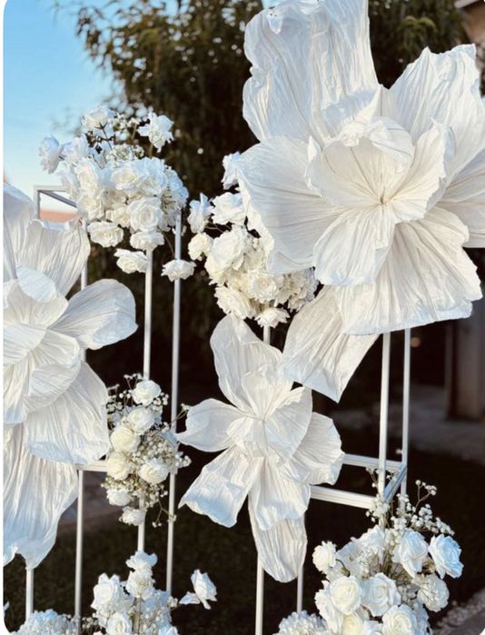 Ростові квіти. Фотозони