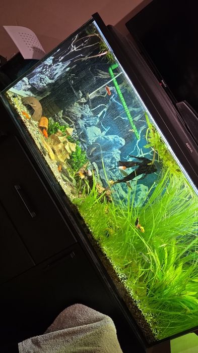 Akwarium 240/300L