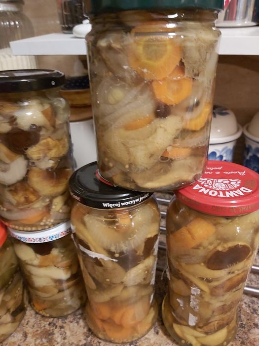MARNOWANE w occie grzybki--13sztuk
