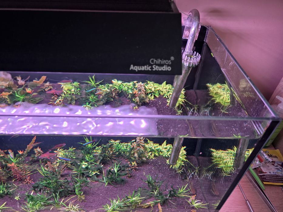 Akwarium 112 litrów