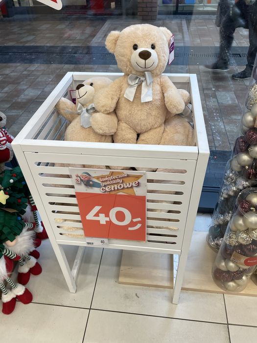 Miś duży dziecko