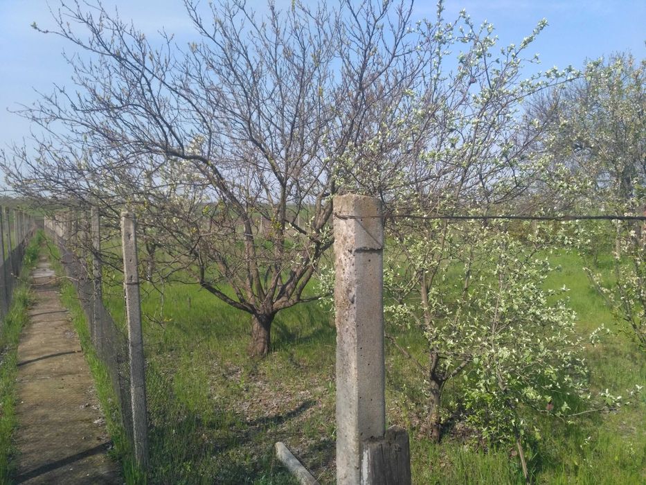 Дом меньше 1 км от города с участком 23 сотки