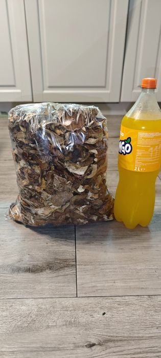 Grzyby suszone 1kg