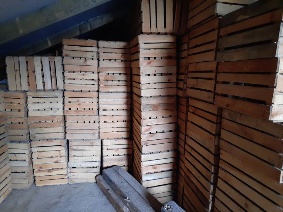 Paczki jedynki na jabłka