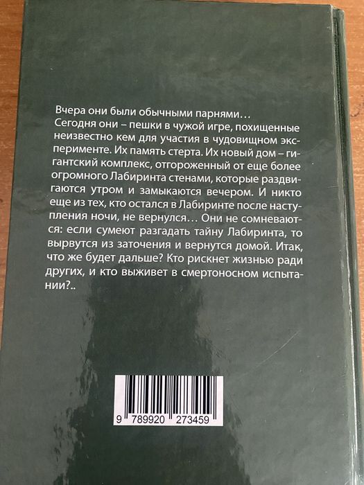 Книга бегущий в лабиринте
