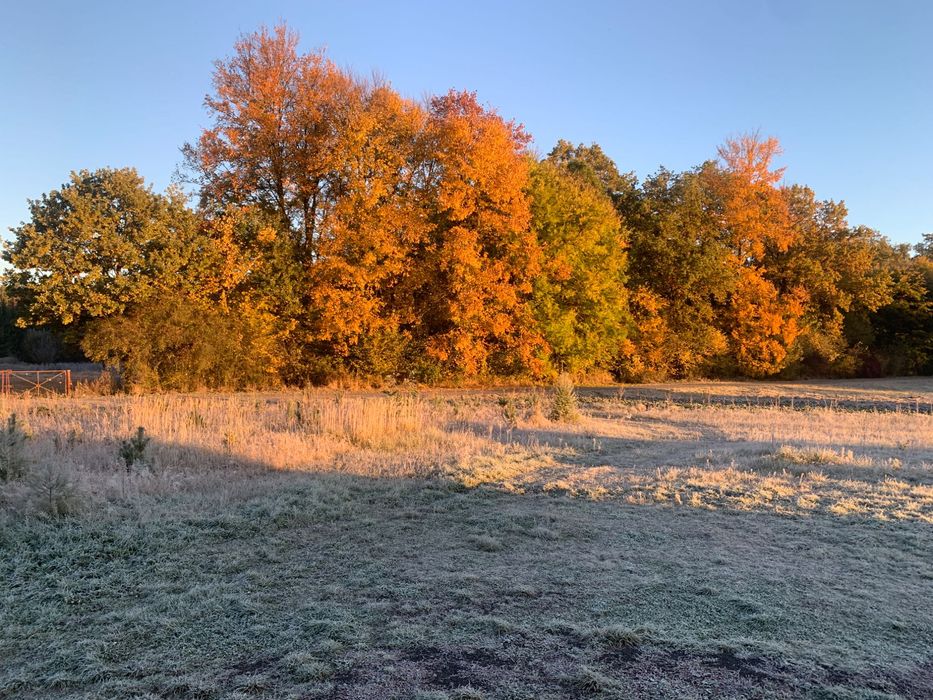 Eko Domek przy lesie*NovaValis* Roztocze, wynajem prywatny
