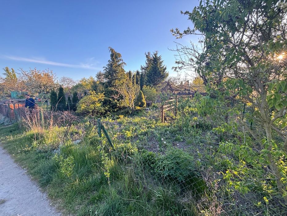 Działka ROD 200 m² ul. Gdańska - Widok 3
