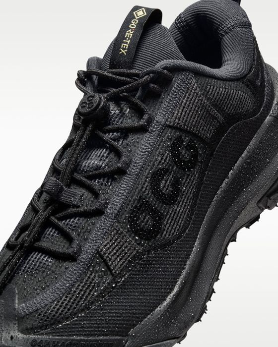 Nike ACG Mountain Fly 2 Low GORE-TEX