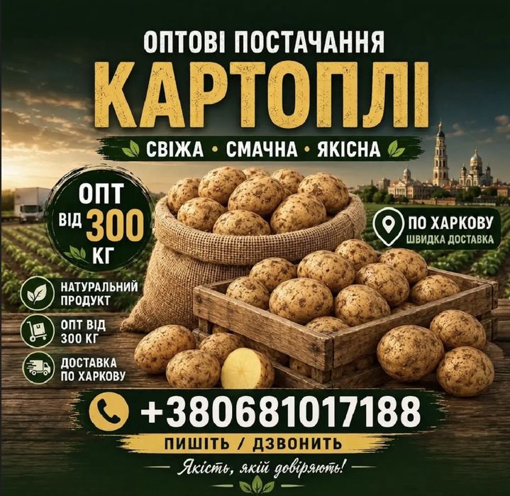Продам картоплю продам картошку