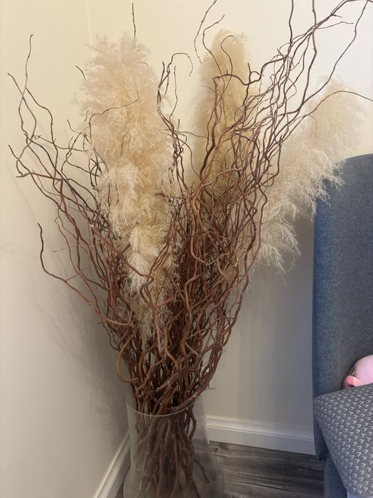 Trawa pampasowa duza