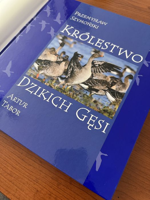 Album „Królestwo Dzikich Gęsi” - wydanie I