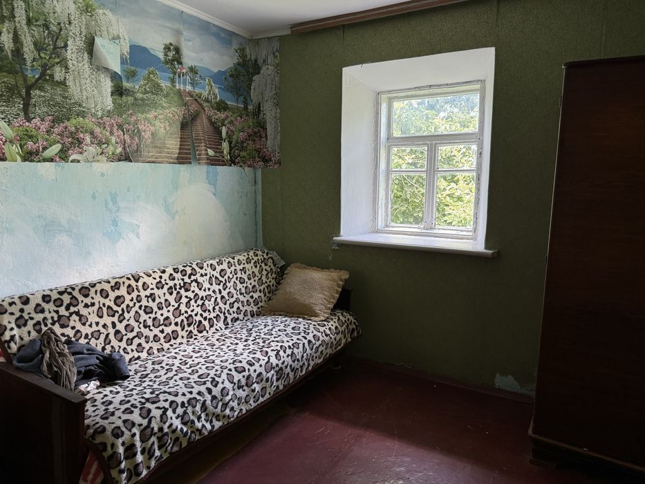 Будинок з магазином, 31сотих землі