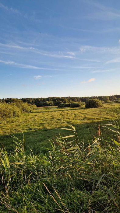 Działka nad morzem (4 minuty rowerem). - Widok 4