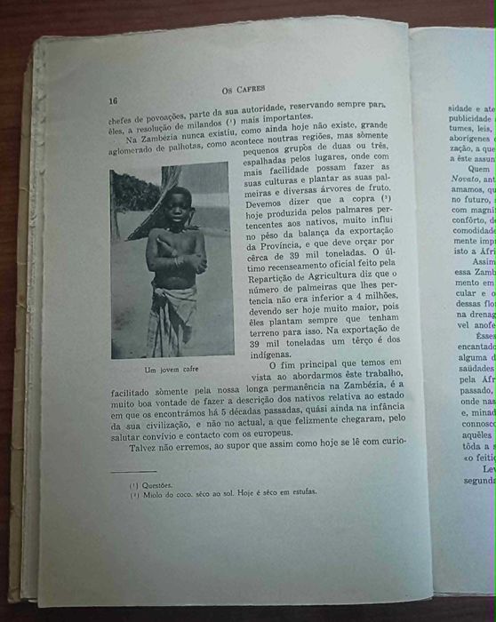 Os cafres, seus usos e costumes por Francisco Gavicho de Lacerda (1944)