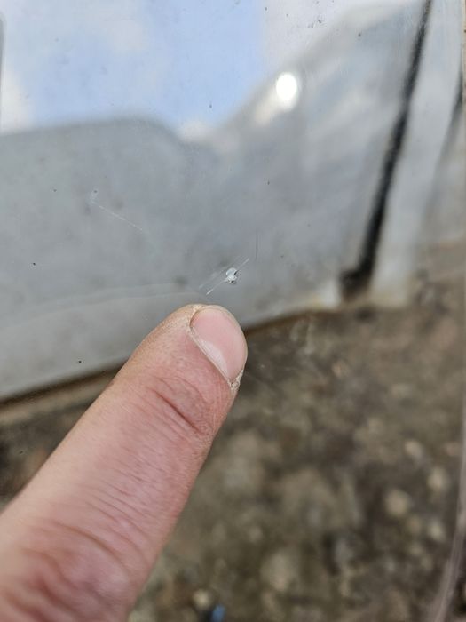 Стекло лобовое сеат ибица малага 021а