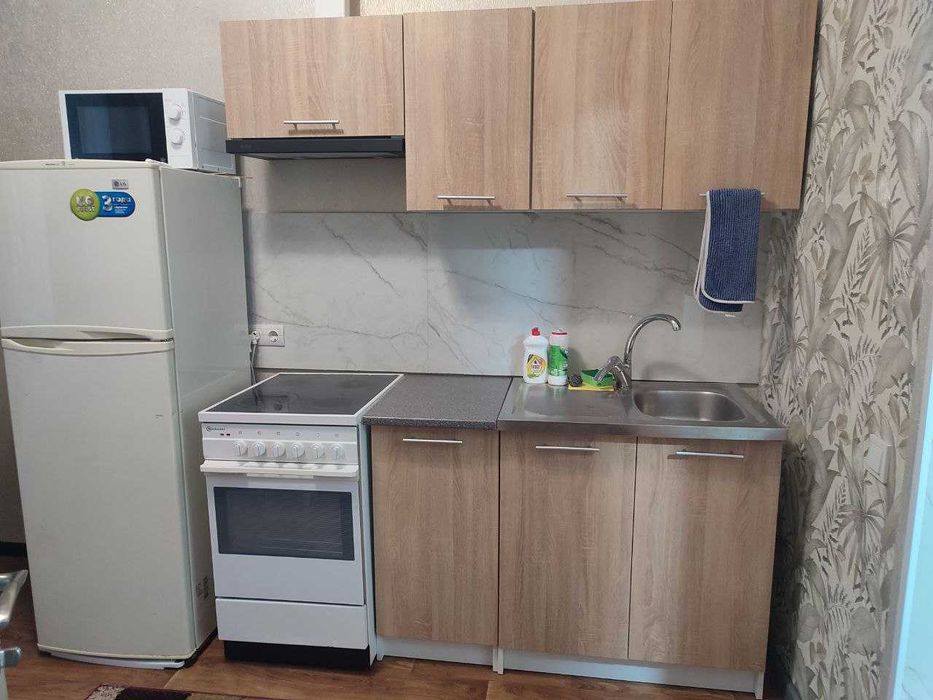 Здається подобово квартира в центрі міста