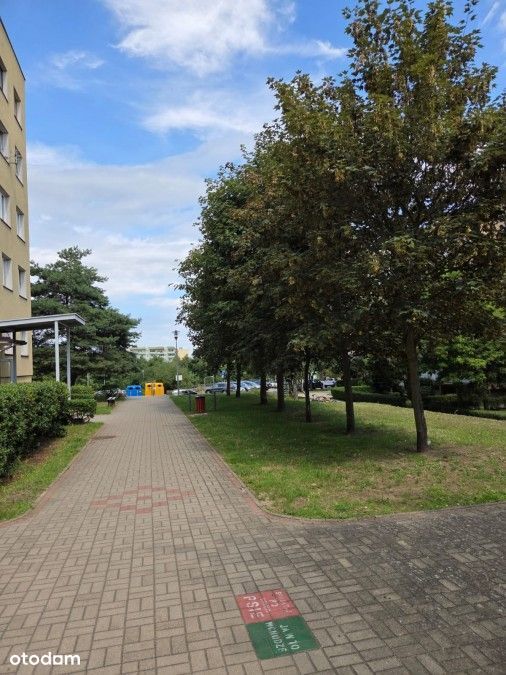 os.Majowe, 4pokoje, balkon, 70,60m2, O K A Z J A