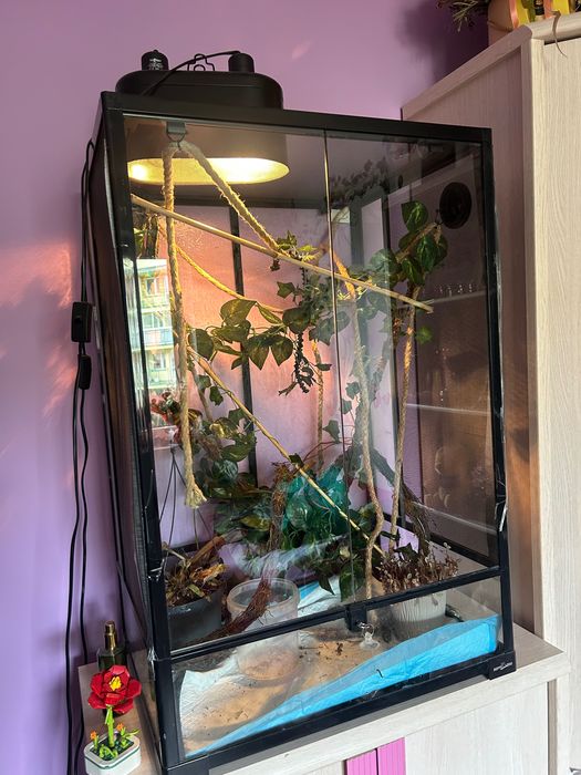 Terrarium dla kameleona