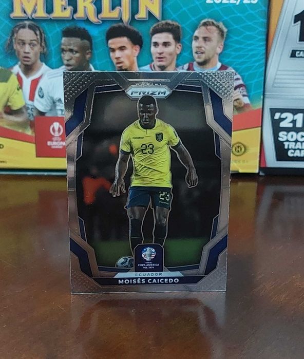 Moises Caicedo - Ecuador