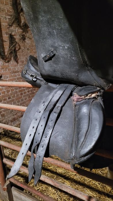 Siodło dla konia jazdy konnej